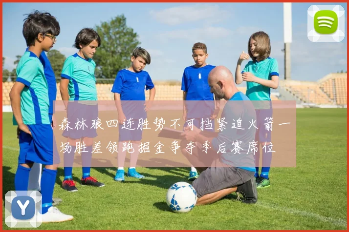 森林狼四连胜势不可挡紧追火箭一场胜差领跑掘金争夺季后赛席位