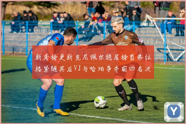 新秀榜更新克尼佩尔稳居榜首弗拉格紧随其后VJ与哈珀争夺前四名次