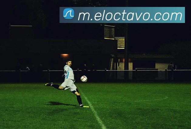 九州在线平台生态图